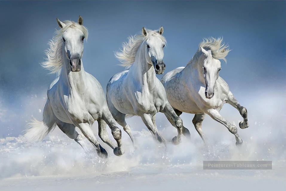 chevaux gris courant réalistes de la photo Peintures à l'huile